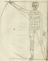 An illustration from Alberti Dvreri clarissimi pictoris et geometrae De symmetria partium humanorum corporum libri quatuor : è germanica lingua in latinam versi (1557)