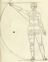 Picture 78 of 211 from Alberti Dvreri clarissimi pictoris et geometrae De symmetria partium humanorum corporum libri quatuor : è germanica lingua in latinam versi (1557), leaf 130