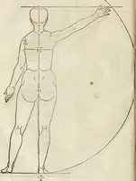 Picture 79 of 211 from Alberti Dvreri clarissimi pictoris et geometrae De symmetria partium humanorum corporum libri quatuor : è germanica lingua in latinam versi (1557), leaf 131