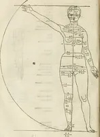 Picture 81 of 211 from Alberti Dvreri clarissimi pictoris et geometrae De symmetria partium humanorum corporum libri quatuor : è germanica lingua in latinam versi (1557), leaf 135