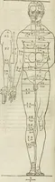 An illustration from Alberti Dvreri clarissimi pictoris et geometrae De symmetria partium humanorum corporum libri quatuor : è germanica lingua in latinam versi (1557)