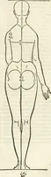 An illustration from Alberti Dvreri clarissimi pictoris et geometrae De symmetria partium humanorum corporum libri quatuor : è germanica lingua in latinam versi (1557)