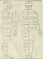 Picture 7 of 211 from Alberti Dvreri clarissimi pictoris et geometrae De symmetria partium humanorum corporum libri quatuor : è germanica lingua in latinam versi (1557), leaf 15