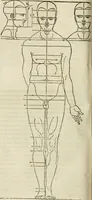 Picture 96 of 211 from Alberti Dvreri clarissimi pictoris et geometrae De symmetria partium humanorum corporum libri quatuor : è germanica lingua in latinam versi (1557), leaf 155