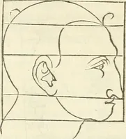 An illustration from Alberti Dvreri clarissimi pictoris et geometrae De symmetria partium humanorum corporum libri quatuor : è germanica lingua in latinam versi (1557)