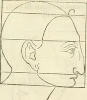 Picture 125 of 211 from Alberti Dvreri clarissimi pictoris et geometrae De symmetria partium humanorum corporum libri quatuor : è germanica lingua in latinam versi (1557), leaf 168