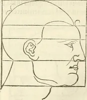 Picture 126 of 211 from Alberti Dvreri clarissimi pictoris et geometrae De symmetria partium humanorum corporum libri quatuor : è germanica lingua in latinam versi (1557), leaf 168
