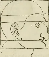 An illustration from Alberti Dvreri clarissimi pictoris et geometrae De symmetria partium humanorum corporum libri quatuor : è germanica lingua in latinam versi (1557)