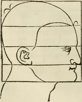 Picture 131 of 211 from Alberti Dvreri clarissimi pictoris et geometrae De symmetria partium humanorum corporum libri quatuor : è germanica lingua in latinam versi (1557), leaf 169