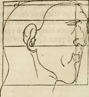 Picture 139 of 211 from Alberti Dvreri clarissimi pictoris et geometrae De symmetria partium humanorum corporum libri quatuor : è germanica lingua in latinam versi (1557), leaf 173