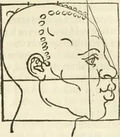 An illustration from Alberti Dvreri clarissimi pictoris et geometrae De symmetria partium humanorum corporum libri quatuor : è germanica lingua in latinam versi (1557)