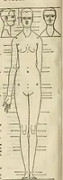 An illustration from Alberti Dvreri clarissimi pictoris et geometrae De symmetria partium humanorum corporum libri quatuor : è germanica lingua in latinam versi (1557)