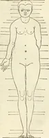 An illustration from Alberti Dvreri clarissimi pictoris et geometrae De symmetria partium humanorum corporum libri quatuor : è germanica lingua in latinam versi (1557)