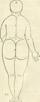 An illustration from Alberti Dvreri clarissimi pictoris et geometrae De symmetria partium humanorum corporum libri quatuor : è germanica lingua in latinam versi (1557)