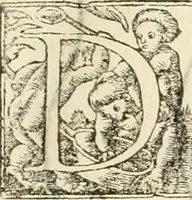 Picture 173 of 211 from Alberti Dvreri clarissimi pictoris et geometrae De symmetria partium humanorum corporum libri quatuor : è germanica lingua in latinam versi (1557), leaf 208
