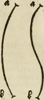 An illustration from Alberti Dvreri clarissimi pictoris et geometrae De symmetria partium humanorum corporum libri quatuor : è germanica lingua in latinam versi (1557)