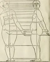 Picture 181 of 211 from Alberti Dvreri clarissimi pictoris et geometrae De symmetria partium humanorum corporum libri quatuor : è germanica lingua in latinam versi (1557), leaf 217