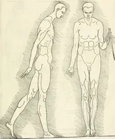 Picture 184 of 211 from Alberti Dvreri clarissimi pictoris et geometrae De symmetria partium humanorum corporum libri quatuor : è germanica lingua in latinam versi (1557), leaf 220