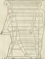 An illustration from Alberti Dvreri clarissimi pictoris et geometrae De symmetria partium humanorum corporum libri quatuor : è germanica lingua in latinam versi (1557)
