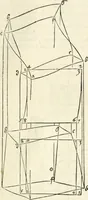 Picture 197 of 211 from Alberti Dvreri clarissimi pictoris et geometrae De symmetria partium humanorum corporum libri quatuor : è germanica lingua in latinam versi (1557), leaf 232