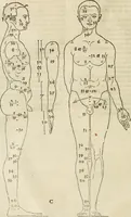 An illustration from Alberti Dvreri clarissimi pictoris et geometrae De symmetria partium humanorum corporum libri quatuor : è germanica lingua in latinam versi (1557)
