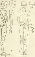 An illustration from Alberti Dvreri clarissimi pictoris et geometrae De symmetria partium humanorum corporum libri quatuor : è germanica lingua in latinam versi (1557)