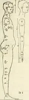 An illustration from Alberti Dvreri clarissimi pictoris et geometrae De symmetria partium humanorum corporum libri quatuor : è germanica lingua in latinam versi (1557)