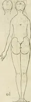 Picture 24 of 211 from Alberti Dvreri clarissimi pictoris et geometrae De symmetria partium humanorum corporum libri quatuor : è germanica lingua in latinam versi (1557), leaf 41