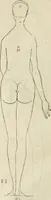 An illustration from Alberti Dvreri clarissimi pictoris et geometrae De symmetria partium humanorum corporum libri quatuor : è germanica lingua in latinam versi (1557)