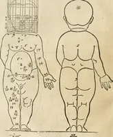 Picture 36 of 211 from Alberti Dvreri clarissimi pictoris et geometrae De symmetria partium humanorum corporum libri quatuor : è germanica lingua in latinam versi (1557), leaf 65