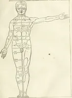 Picture 45 of 211 from Alberti Dvreri clarissimi pictoris et geometrae De symmetria partium humanorum corporum libri quatuor : è germanica lingua in latinam versi (1557), leaf 78