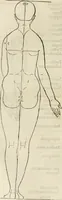 Picture 54 of 211 from Alberti Dvreri clarissimi pictoris et geometrae De symmetria partium humanorum corporum libri quatuor : è germanica lingua in latinam versi (1557), leaf 91