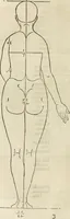 Picture 57 of 211 from Alberti Dvreri clarissimi pictoris et geometrae De symmetria partium humanorum corporum libri quatuor : è germanica lingua in latinam versi (1557), leaf 95