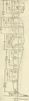 Picture 58 of 211 from Alberti Dvreri clarissimi pictoris et geometrae De symmetria partium humanorum corporum libri quatuor : è germanica lingua in latinam versi (1557), leaf 98