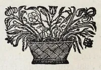 Picture 12 of 19 from Alberti RvbenI Petri Pavli F. De re vestiaria vetervm praecipve de lato clavo libri dvo : et alia eiusdem opuscula posthuma, quorum seriem adversa pagina exhibet (1665), leaf 202