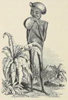 An illustration from The Albert N'yanza : great basin of the Nile, and explorations of the Nile sources (1866)