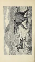 An illustration from The Albert Nyanza, great basin of the Nile, and explorations of the Nile sources (1866)
