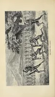 An illustration from The Albert Nyanza, great basin of the Nile, and explorations of the Nile sources (1866)