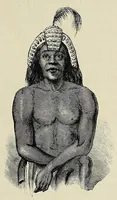 An illustration from The Albert Nyanza, great basin of the Nile, and explorations of the Nile sources (1866)