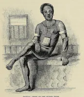Picture 2 of 12 from The Albert Nyanza, great basin of the Nile, and explorations of the Nile sources (1866), leaf 81
