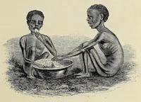 An illustration from The Albert Nyanza, great basin of the Nile, and explorations of the Nile sources (1866)