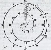 An illustration from Albertvs Dvrervs Nvrembergensis pictor hvivs aetatis celeberrimus, versus è Germanica lingua in Latinam : pictoribus, fabris aerariis ac lignariis, lapicidis, statuariis, & vniuersis demum qui circino, gnomone, libella, aut alioqui certa mensura opera sua examinant, propè necessarius, adeò exactè : quatuor his suaru[m] Institutionum geometricarum libris, lineas, superficies & solida corpora tractauit, adhibitis designationibus ad eam rem accommodatissimis : denuo ad scripti exemplaris fidem omnia diligenter recognita, emendatius iam in lucem exeunt (1535)