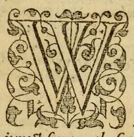 An illustration from Albions England : a continued historie of the same kingdome, from the originals of the first inhabitants thereof : with most the chiefe alterations and accidents theare hapning, vnto, and in the happie raigne of our now most gracious soueraigne, Queene Elizabeth : not barren in varietie of inuentiue and historicall intermixtures (1602)