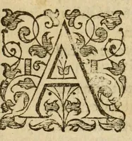 Picture 46 of 69 from Albions England : a continued historie of the same kingdome, from the originals of the first inhabitants thereof : with most the chiefe alterations and accidents theare hapning, vnto, and in the happie raigne of our now most gracious soueraigne, Queene Elizabeth : not barren in varietie of inuentiue and historicall intermixtures (1602), leaf 261