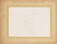 Picture 4 of 15 from Album : Experiments 1901 (1901), leaf 8