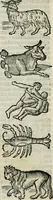 An illustration from Albumasar, De magnis [con]iunctionibus, anno[rum] reuolutio[n]ibus, ac eo[rum] profectionibus octo [con]tines tractatus (1515)