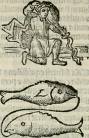 An illustration from Albumasar, De magnis [con]iunctionibus, anno[rum] reuolutio[n]ibus, ac eo[rum] profectionibus octo [con]tines tractatus (1515)