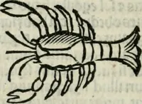 An illustration from Albumasar, De magnis [con]iunctionibus, anno[rum] reuolutio[n]ibus, ac eo[rum] profectionibus octo [con]tines tractatus (1515)
