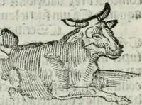 An illustration from Albumasar, De magnis [con]iunctionibus, anno[rum] reuolutio[n]ibus, ac eo[rum] profectionibus octo [con]tines tractatus (1515)