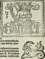 An illustration from Albumasar, De magnis [con]iunctionibus, anno[rum] reuolutio[n]ibus, ac eo[rum] profectionibus octo [con]tines tractatus (1515)